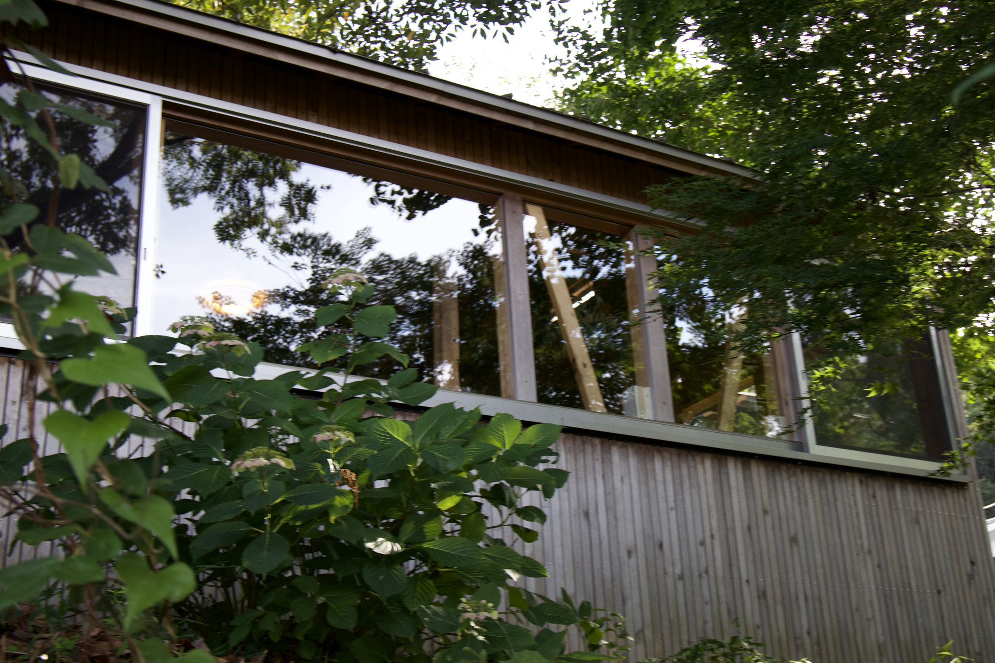 軒と、そこに迫る緑