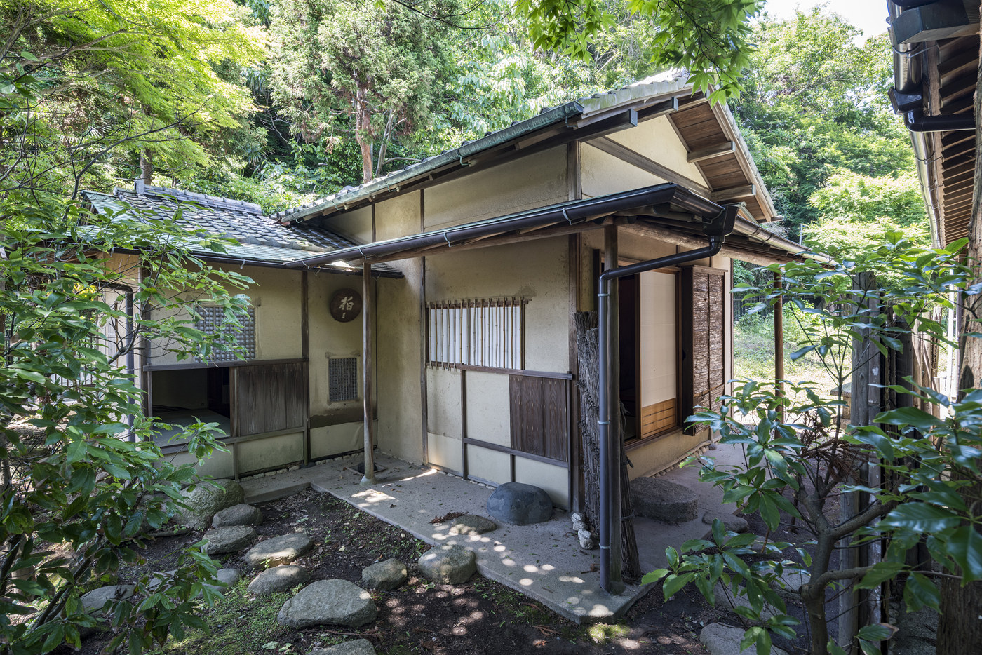 庭に囲まれて建つ離れの外観